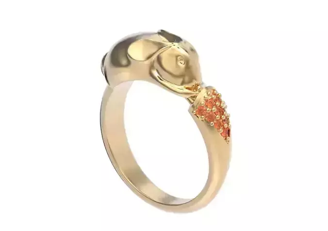  ring hare carrot-eared rabbit