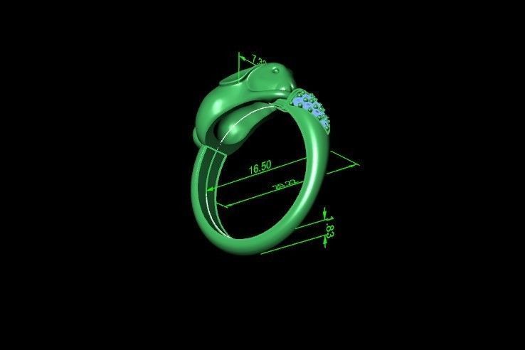 ring hare carrot-eared rabbit 3D print model_29