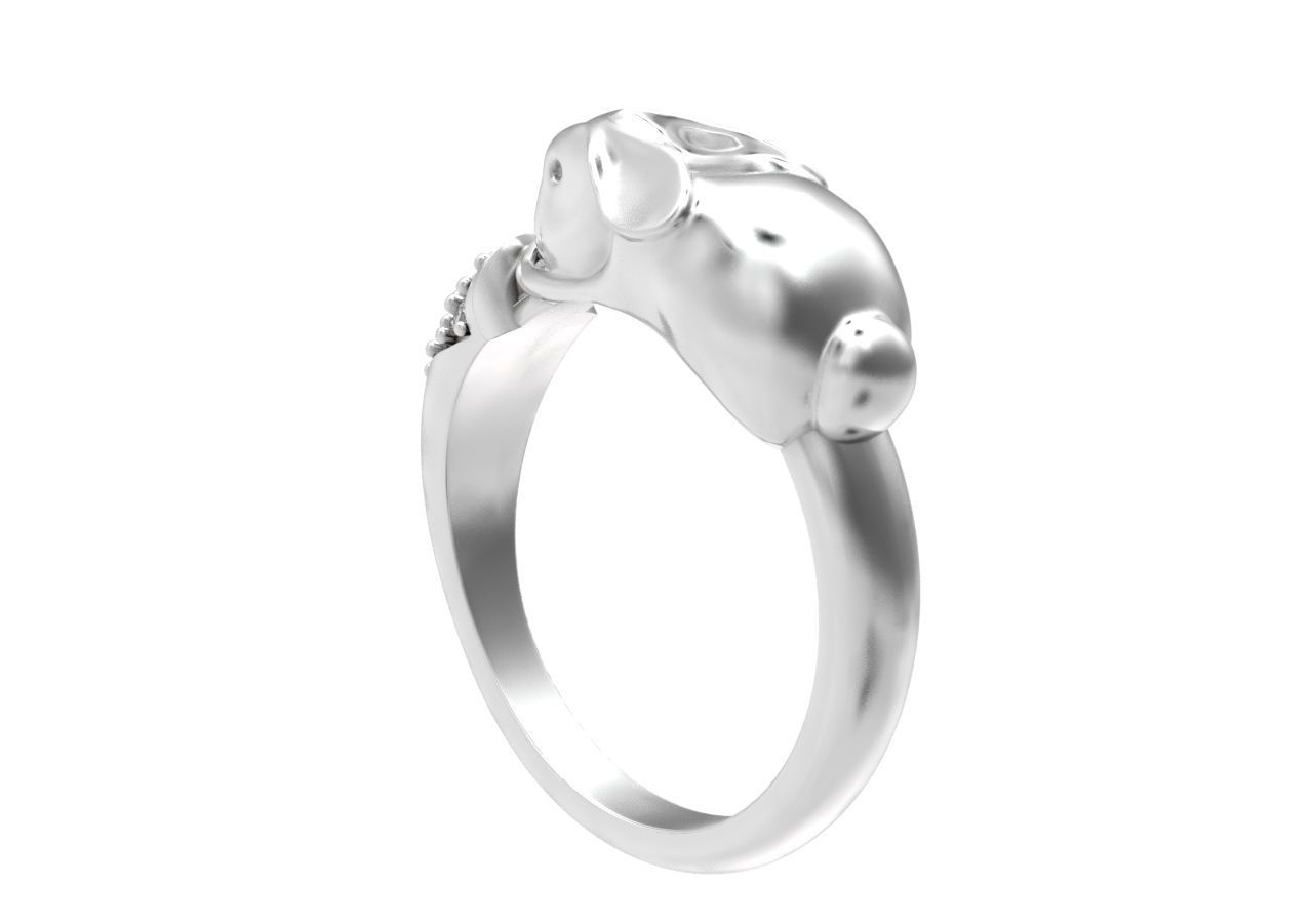 ring hare carrot-eared rabbit 3D print model_23