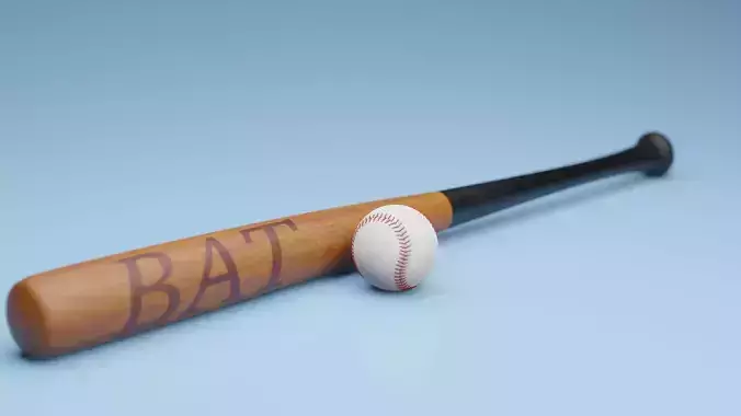 Baseball bat
