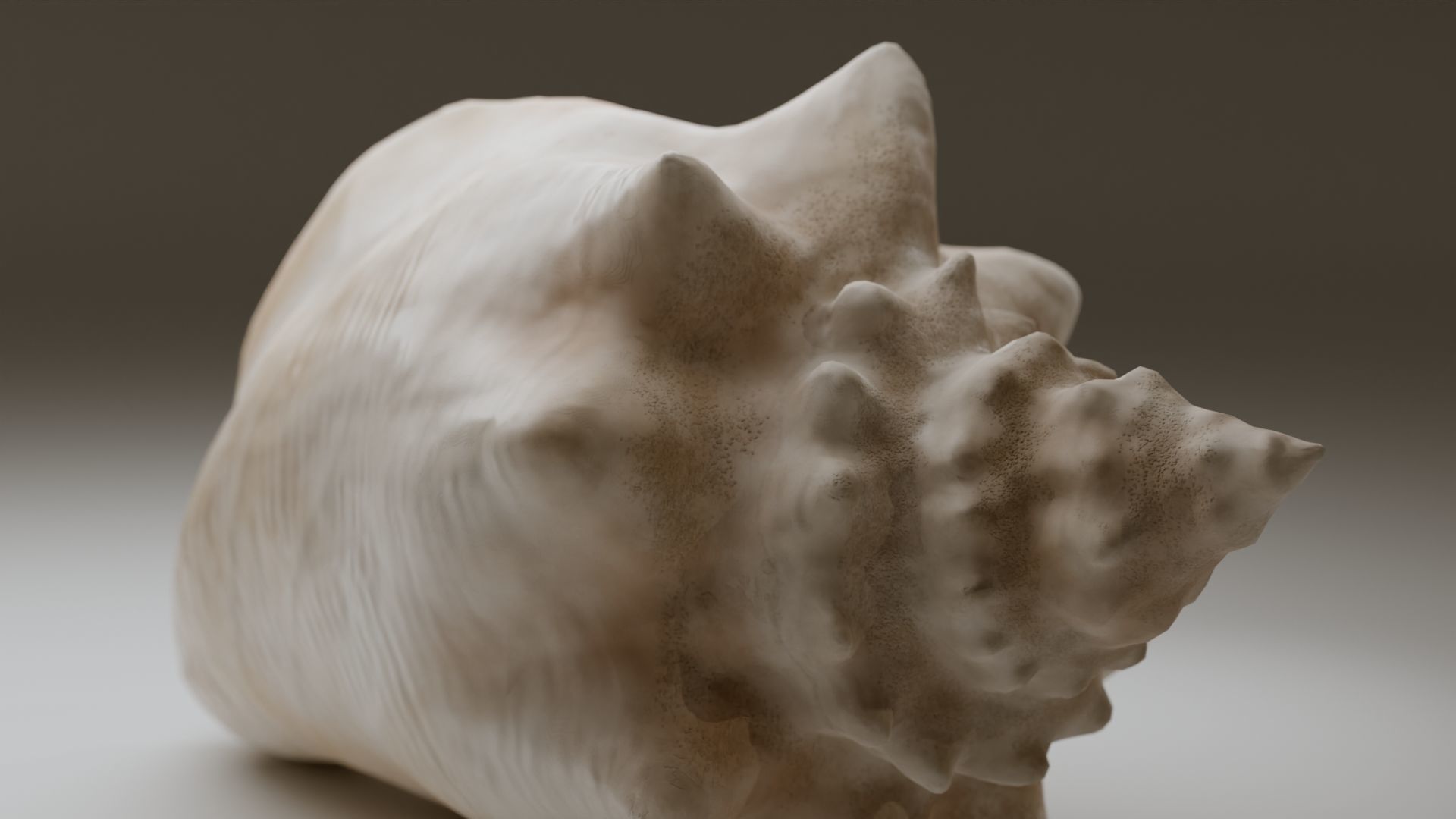 Conch Shell Low-poly 3D model_1