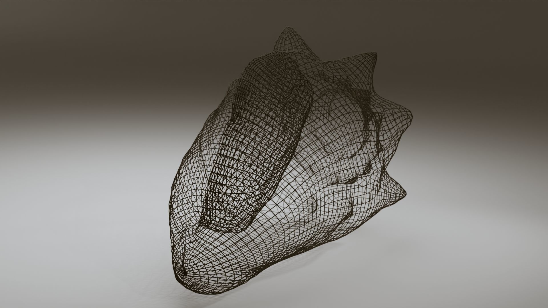 Conch Shell Low-poly 3D model_6