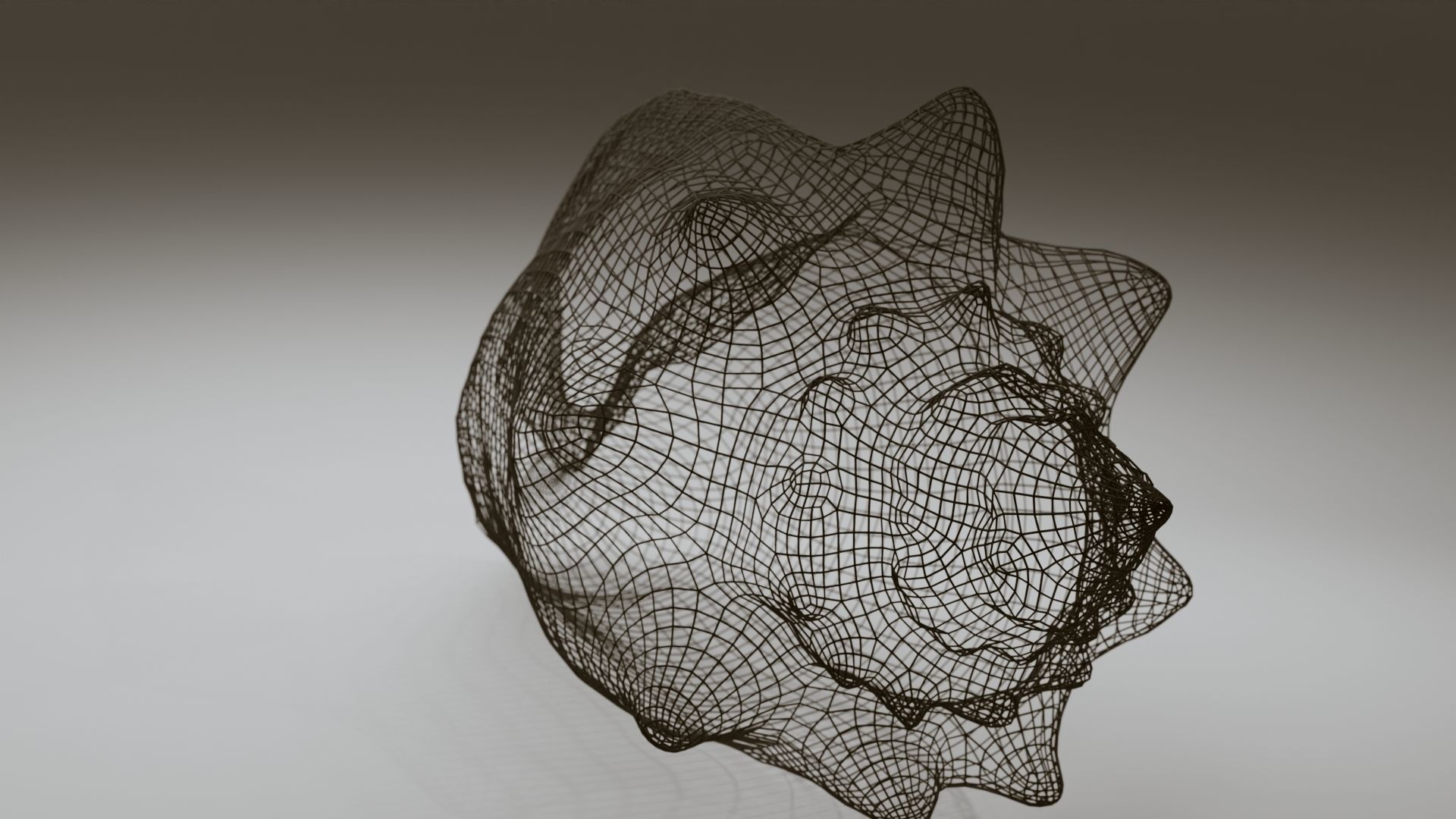 Conch Shell Low-poly 3D model_8