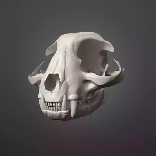 Cat Skull