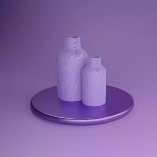 MINIMALISTIC CURVED BOTTLE VASE