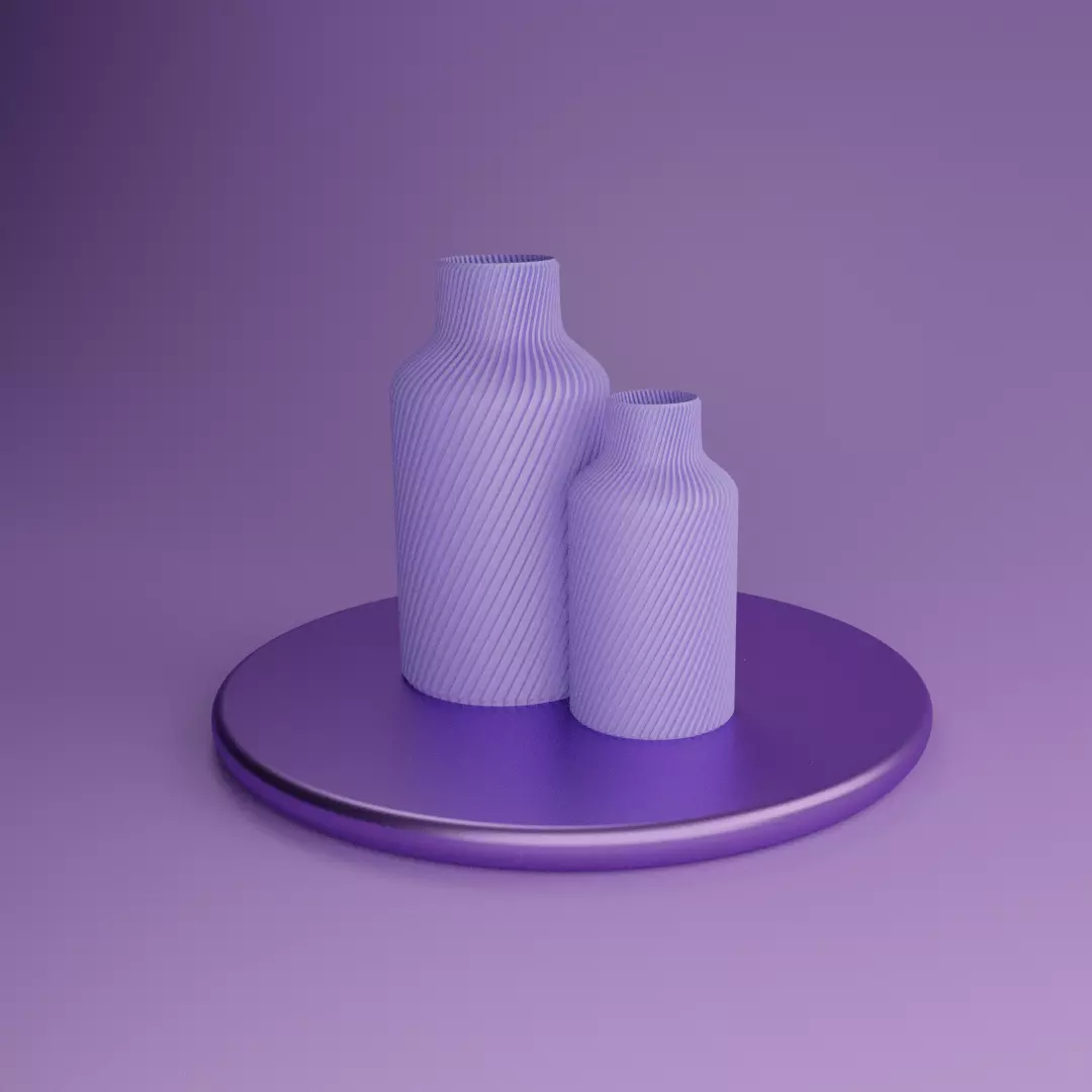 MINIMALISTIC CURVED BOTTLE VASE 3D print model_0