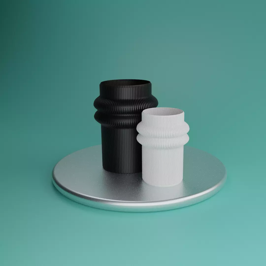 MINIMALISTIC DOUBLE CURVED VASE 3D print model