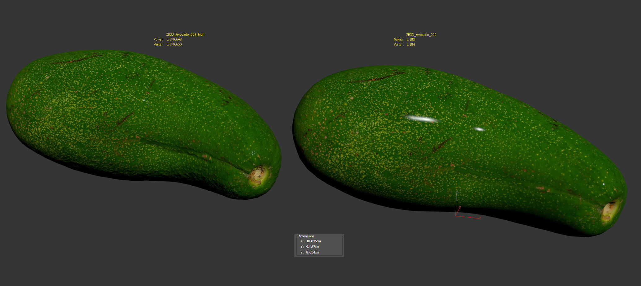 Avocado 3D model_8