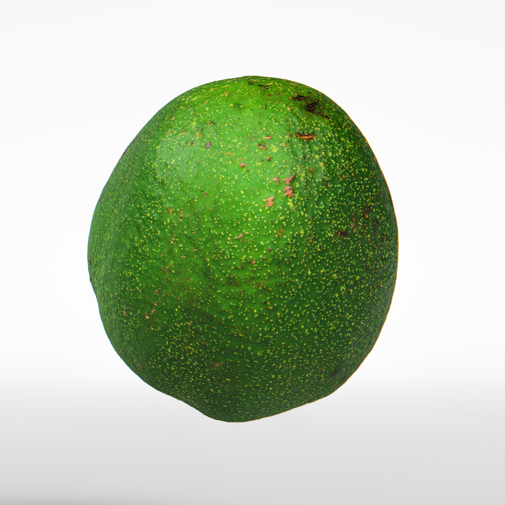 Avocado 3D model_7