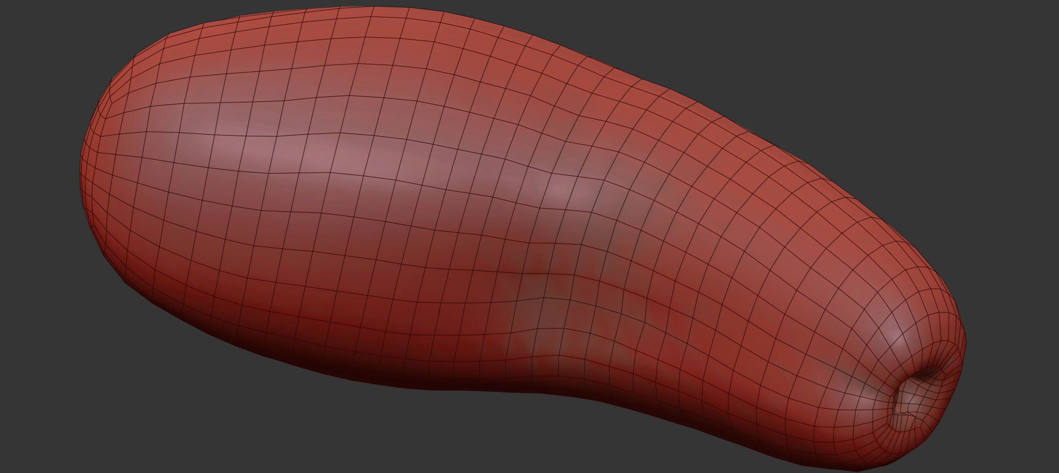 Avocado 3D model_9