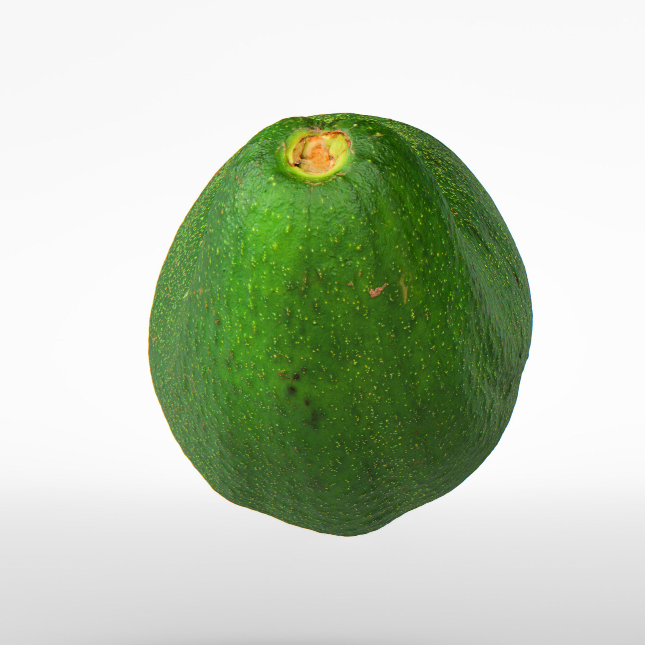 Avocado 3D model_6