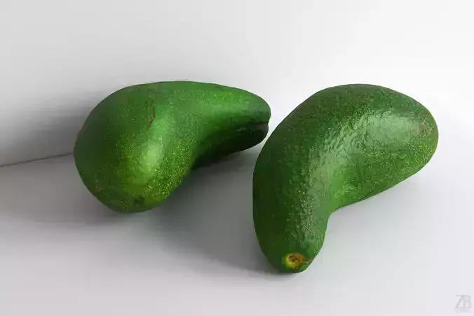 Avocado 3D model