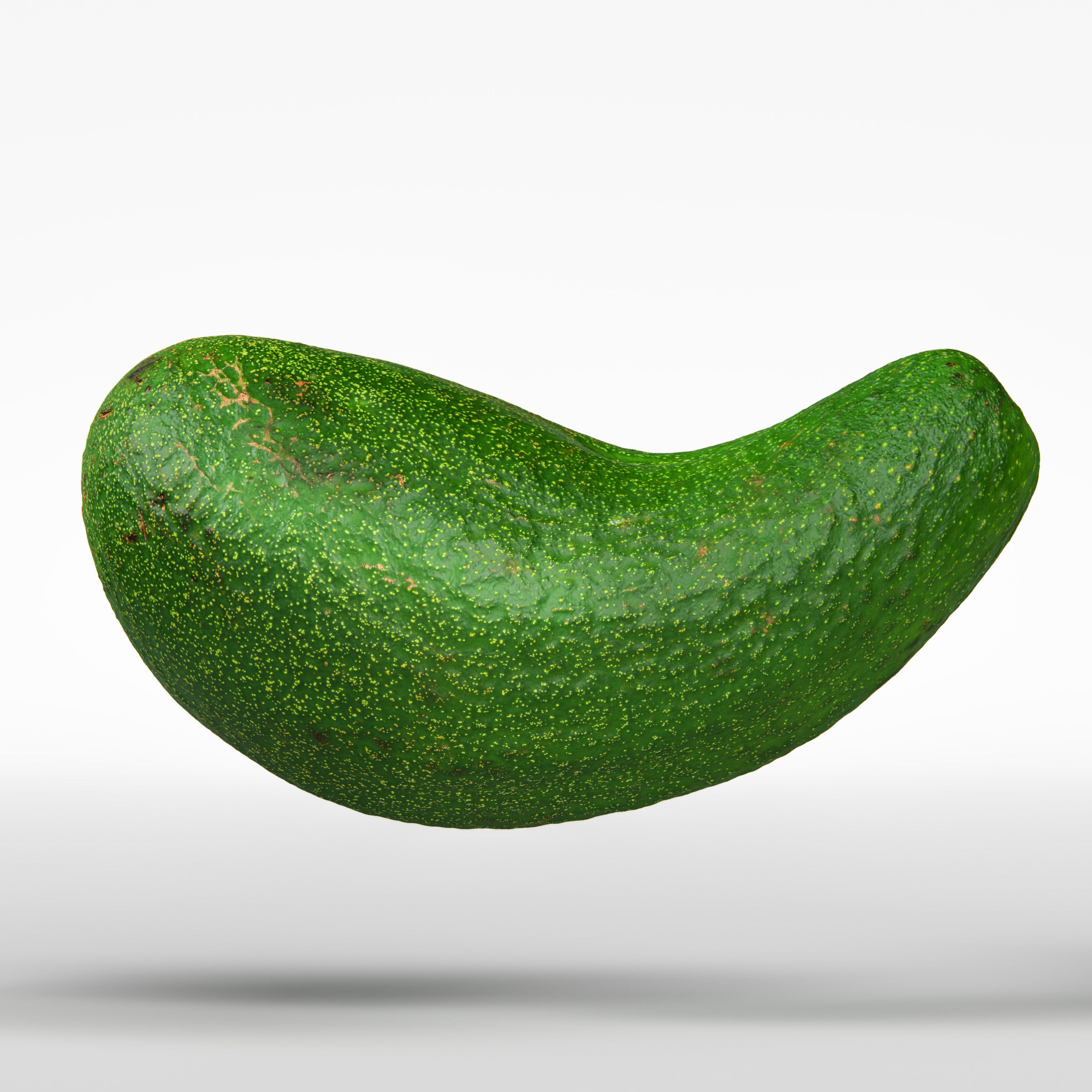 Avocado 3D model_5