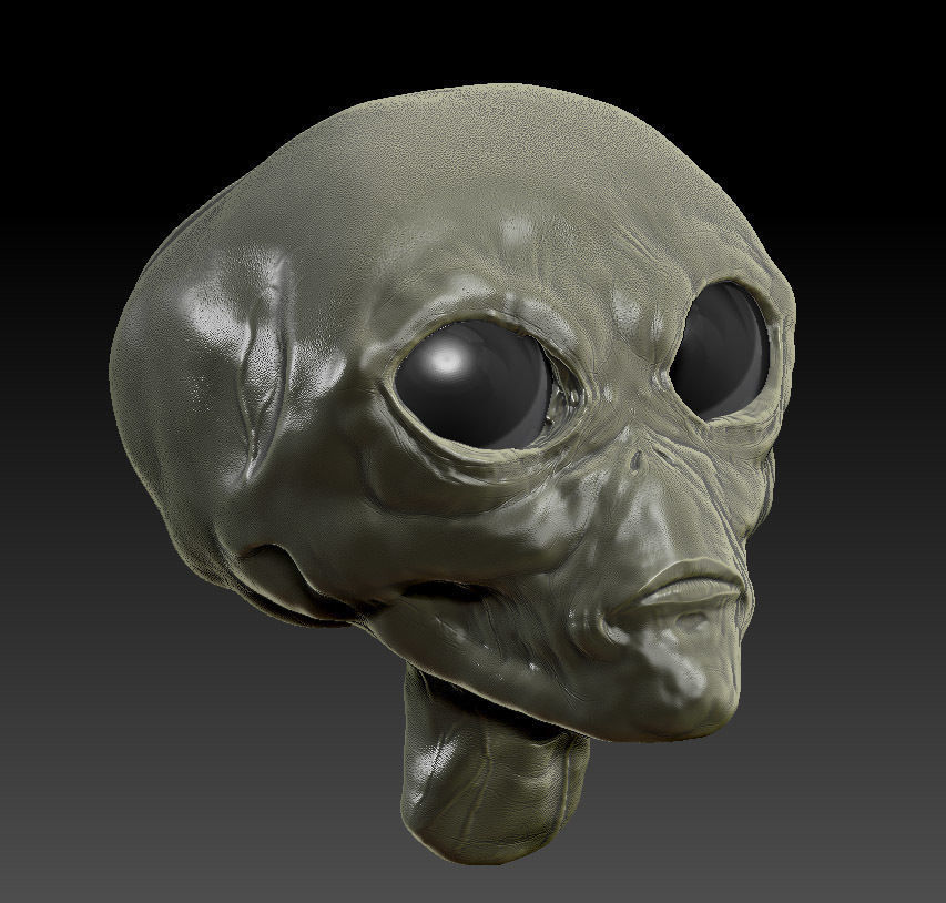 Extraterrestre alien head 3D print model_1