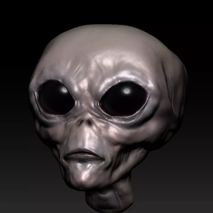 Extraterrestre alien head 3D print model_0