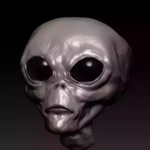Extraterrestre alien head