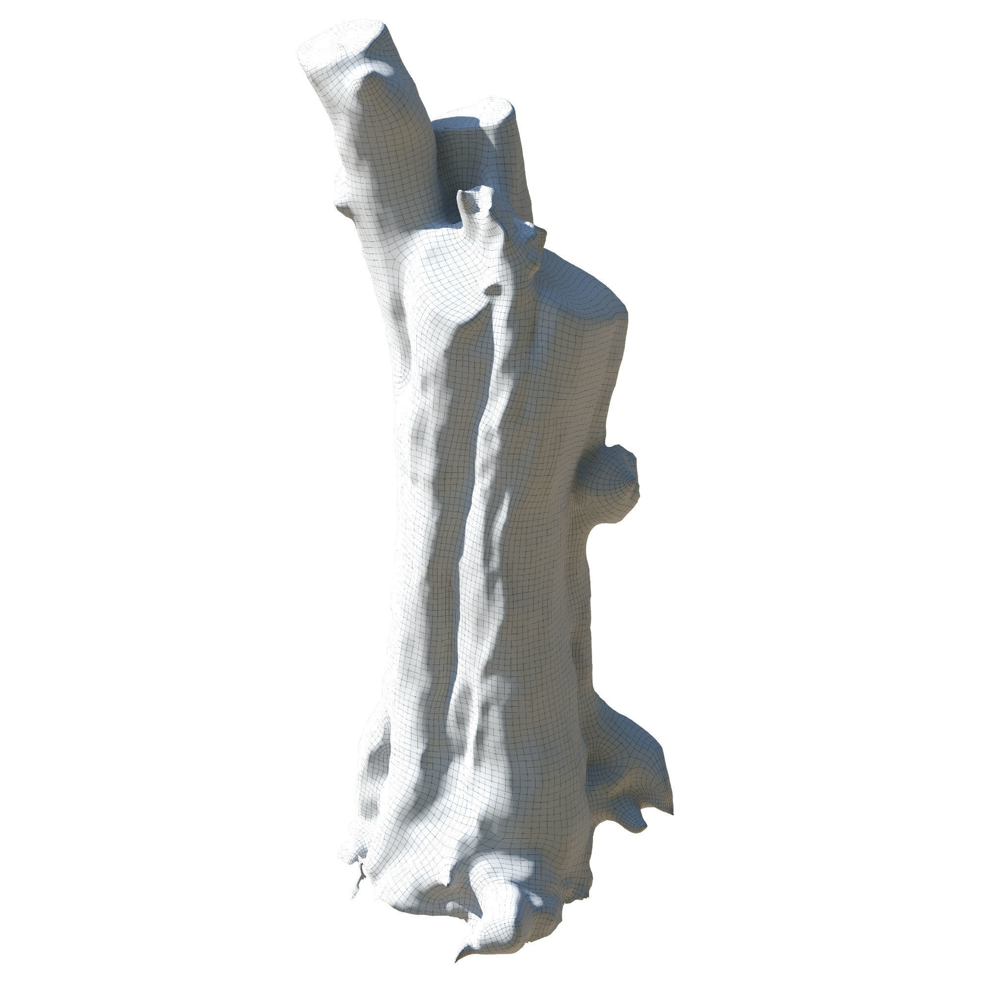 trunk 62 3D model_5