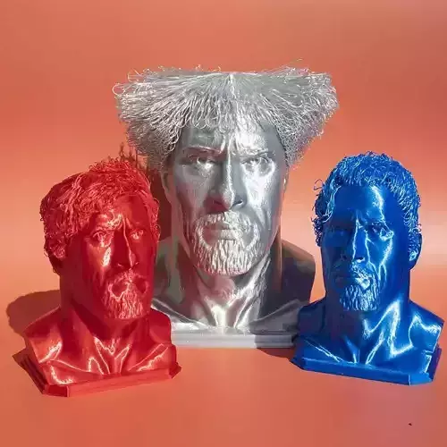 Hairy Dwayne Johnson - No support 3D print model