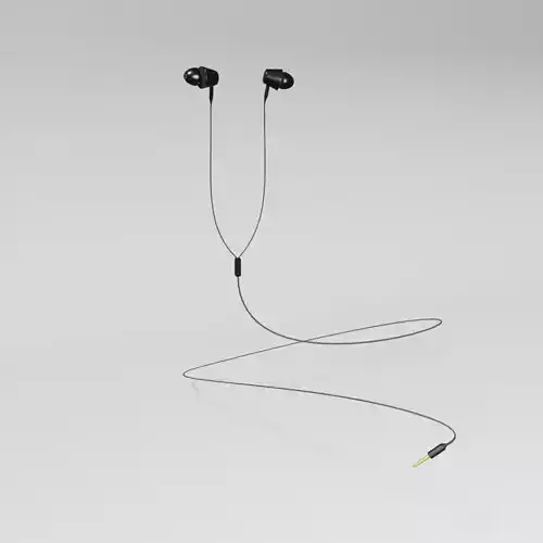Earphone in-ear