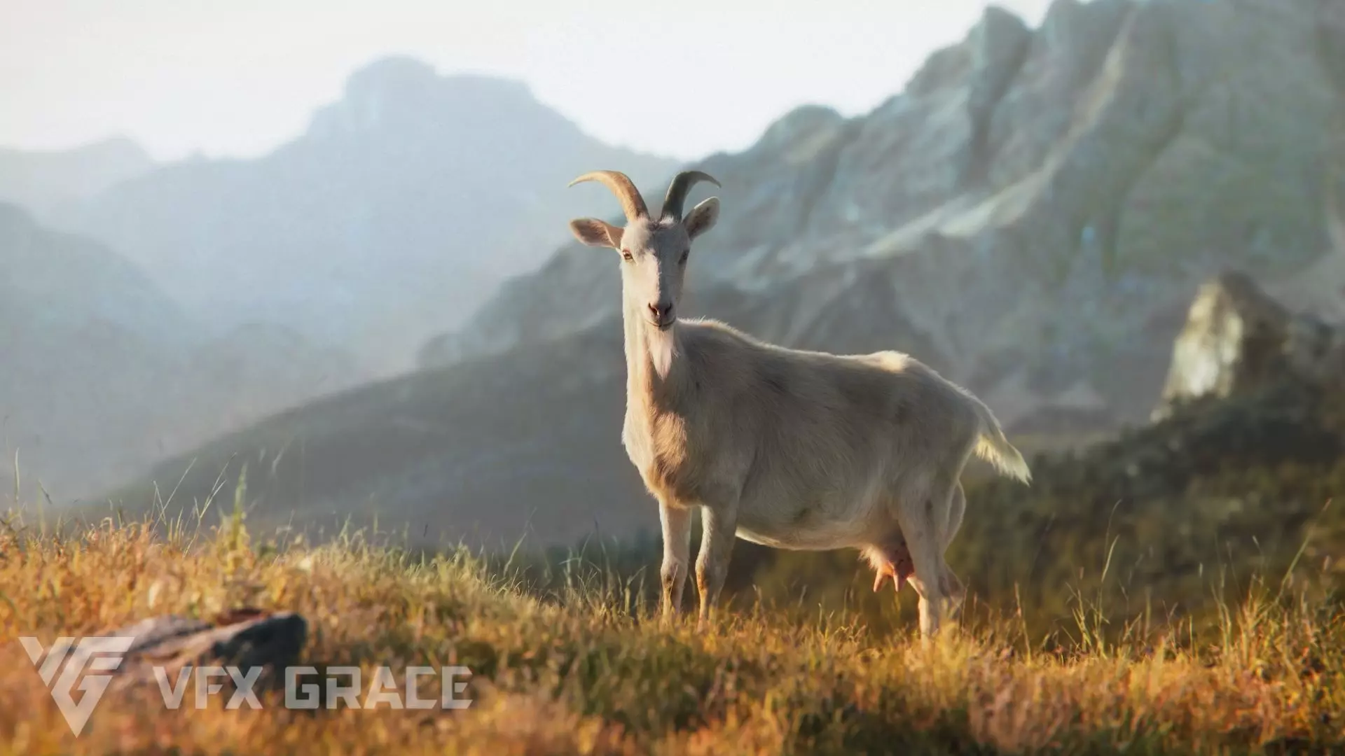 Goat 01 Animated VFX Grace 3D model_0