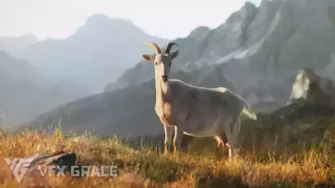 Goat 01 Animated VFX Grace 3D model