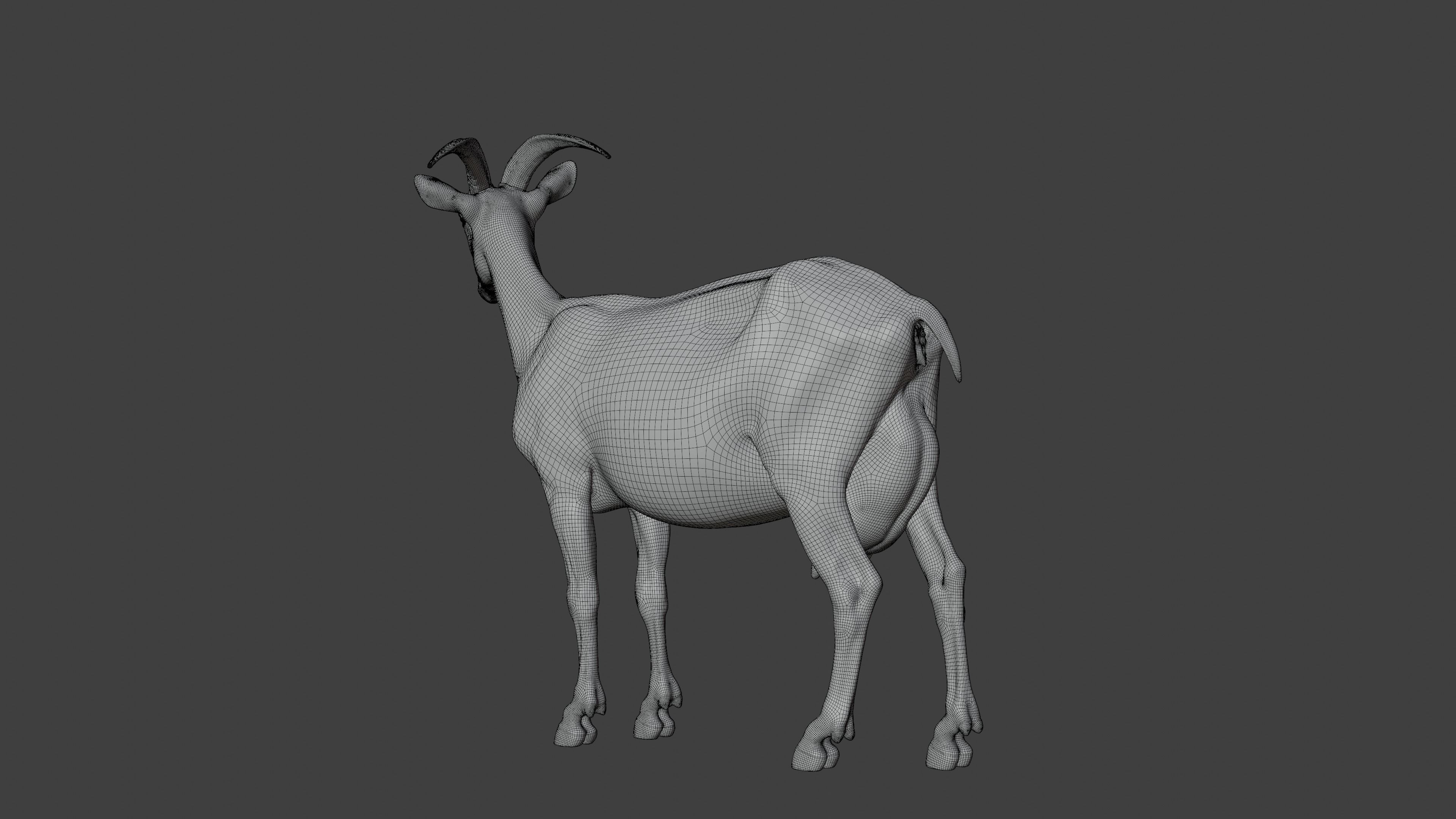 Goat 01 Animated VFX Grace 3D model_16