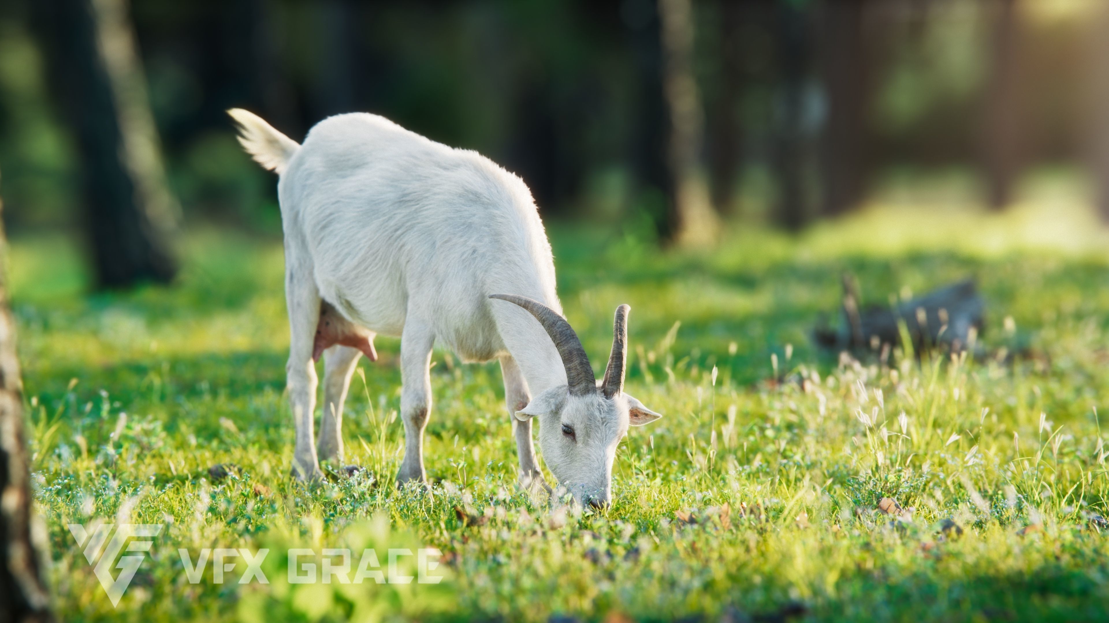 Goat 01 Animated VFX Grace 3D model_7