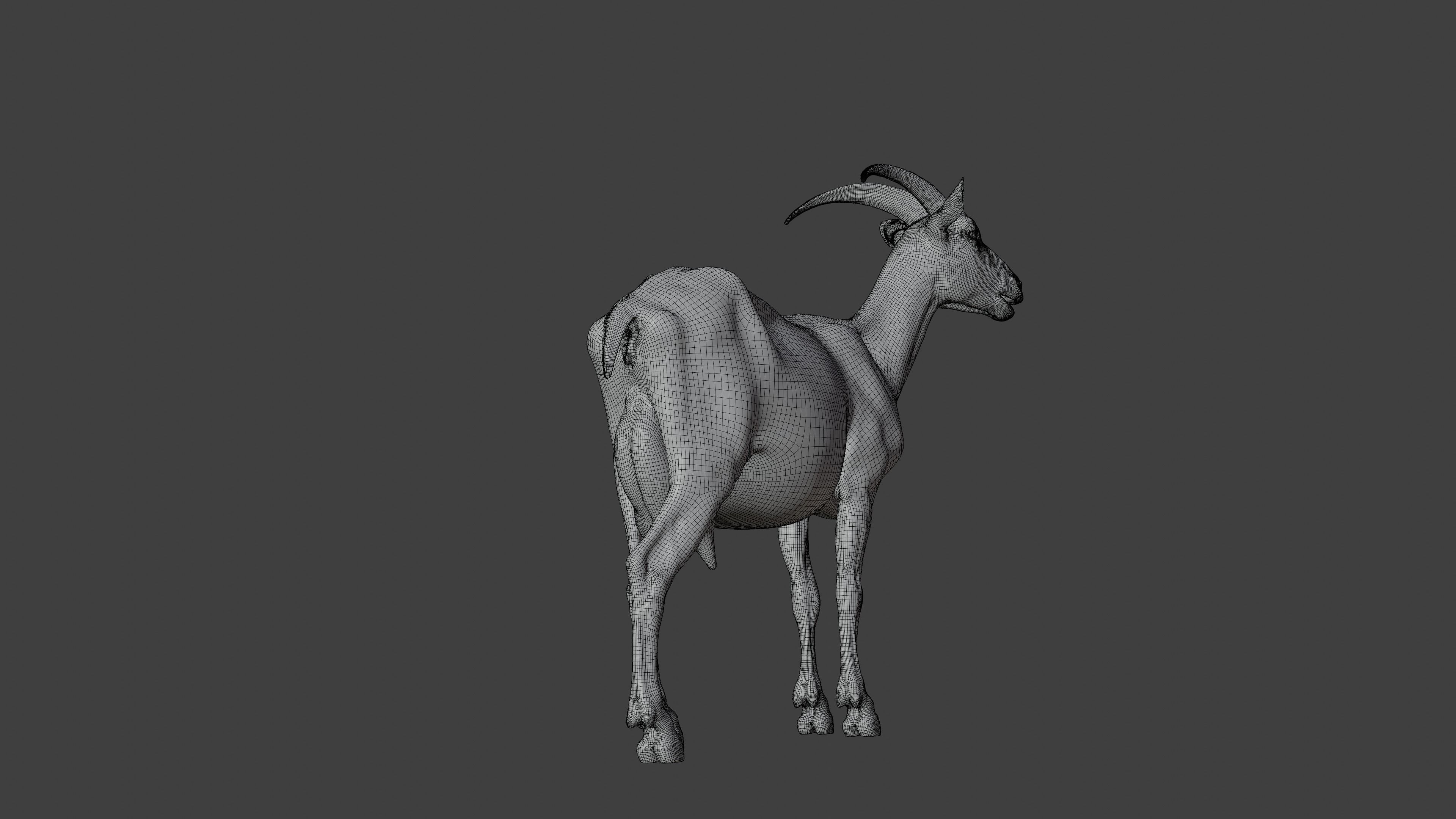 Goat 01 Animated VFX Grace 3D model_17