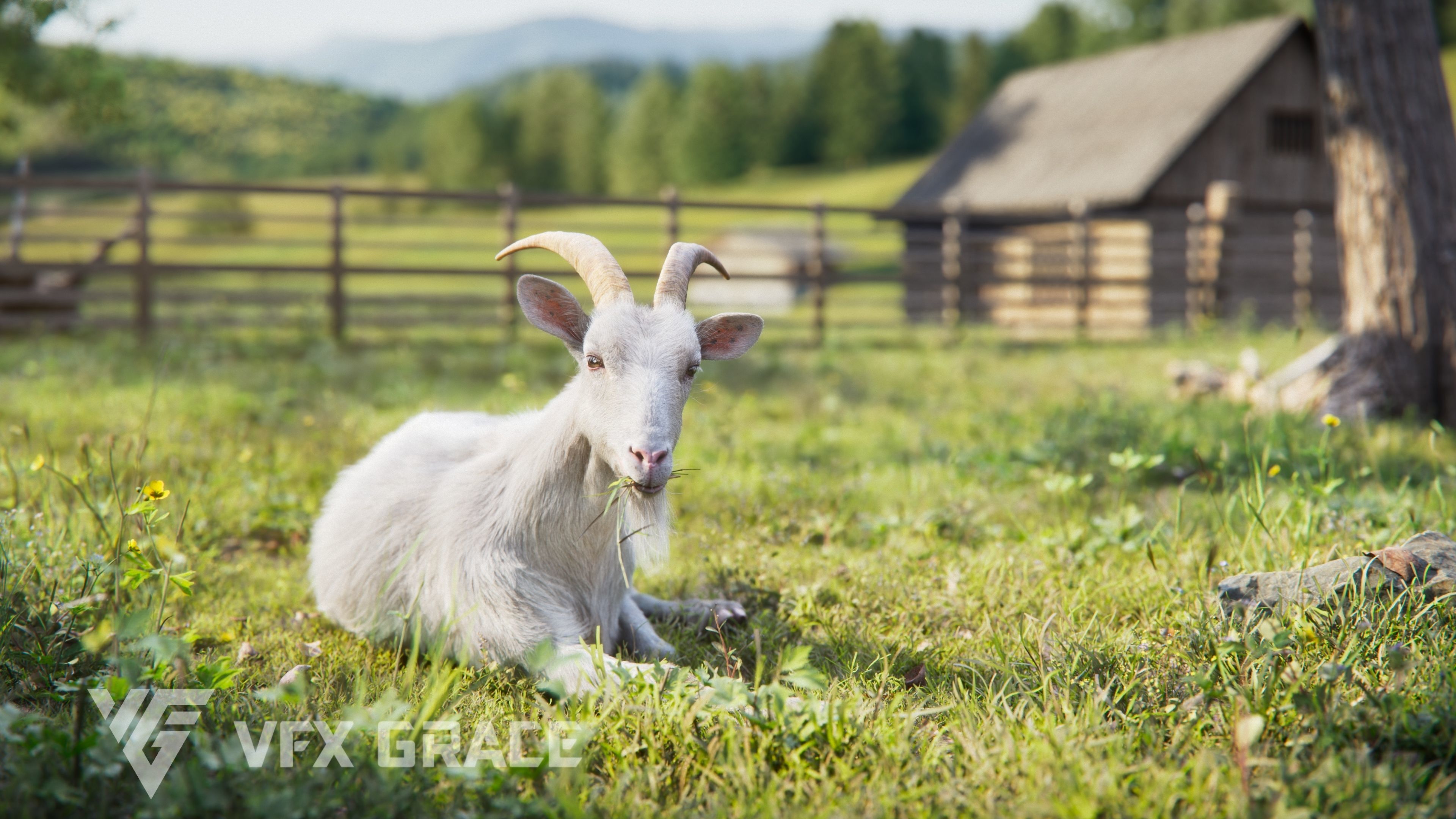 Goat 01 Animated VFX Grace 3D model_6