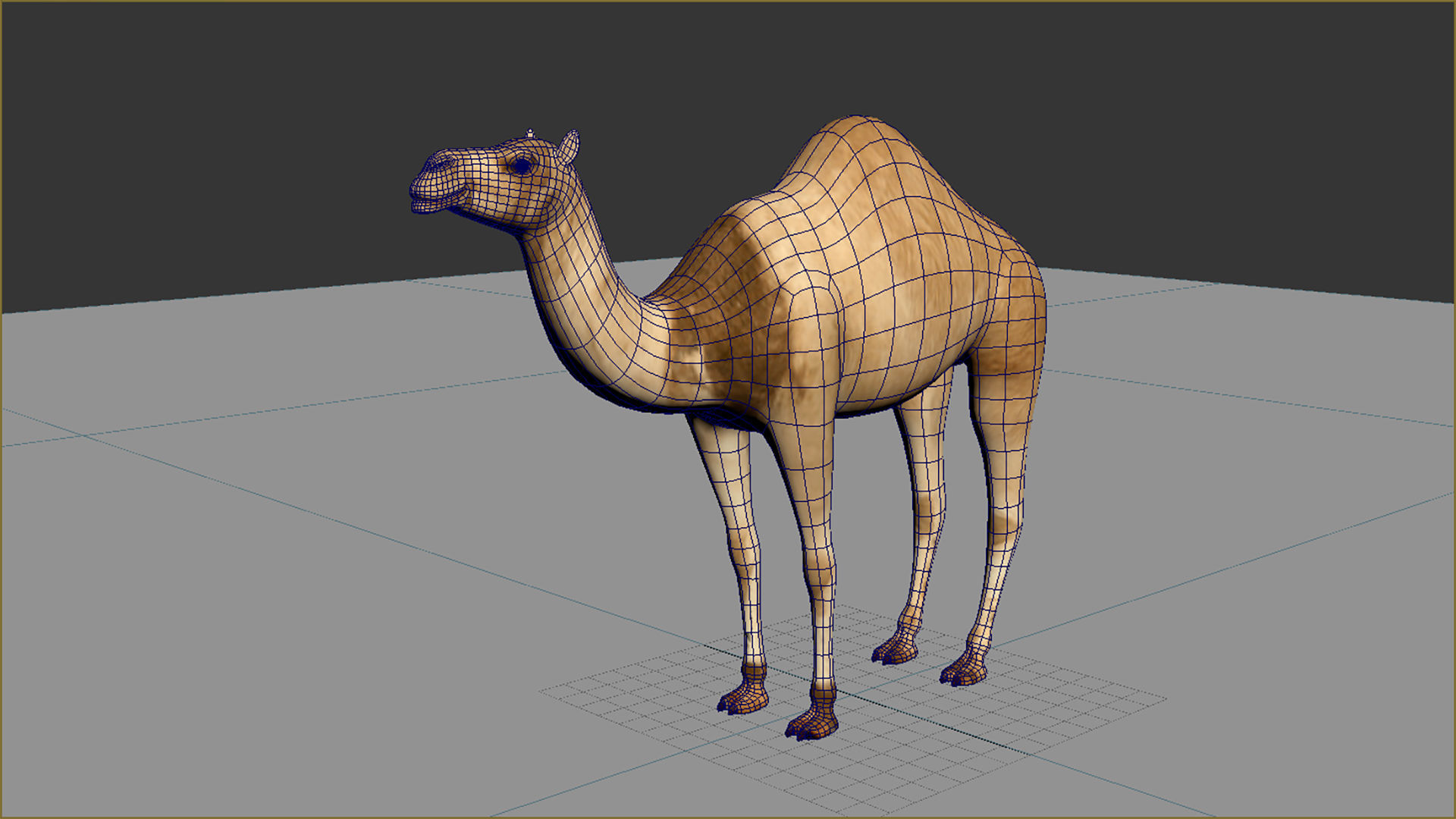 Camel Low Poly VR AR Animal 3D model_5
