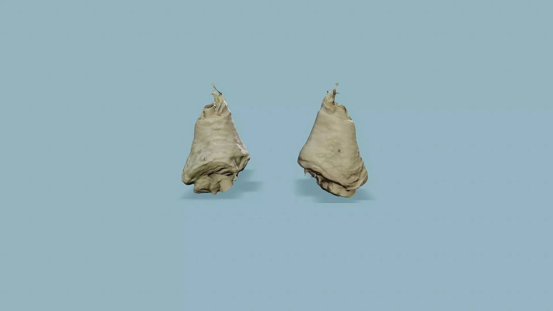3D Scan Boiled Chicken Leg Low-poly 3D model