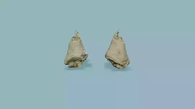 3D Scan Boiled Chicken Leg Low-poly 3D model