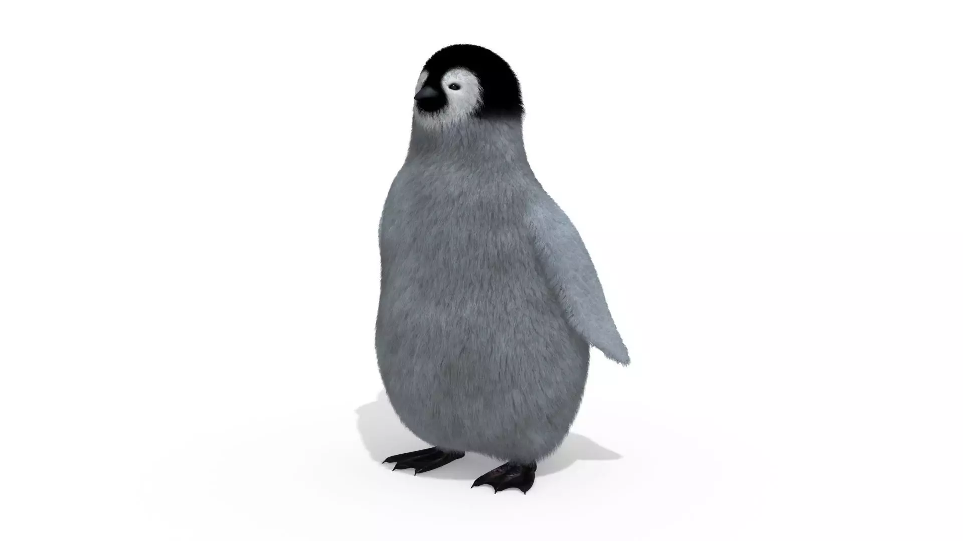Penguin 3D model_0