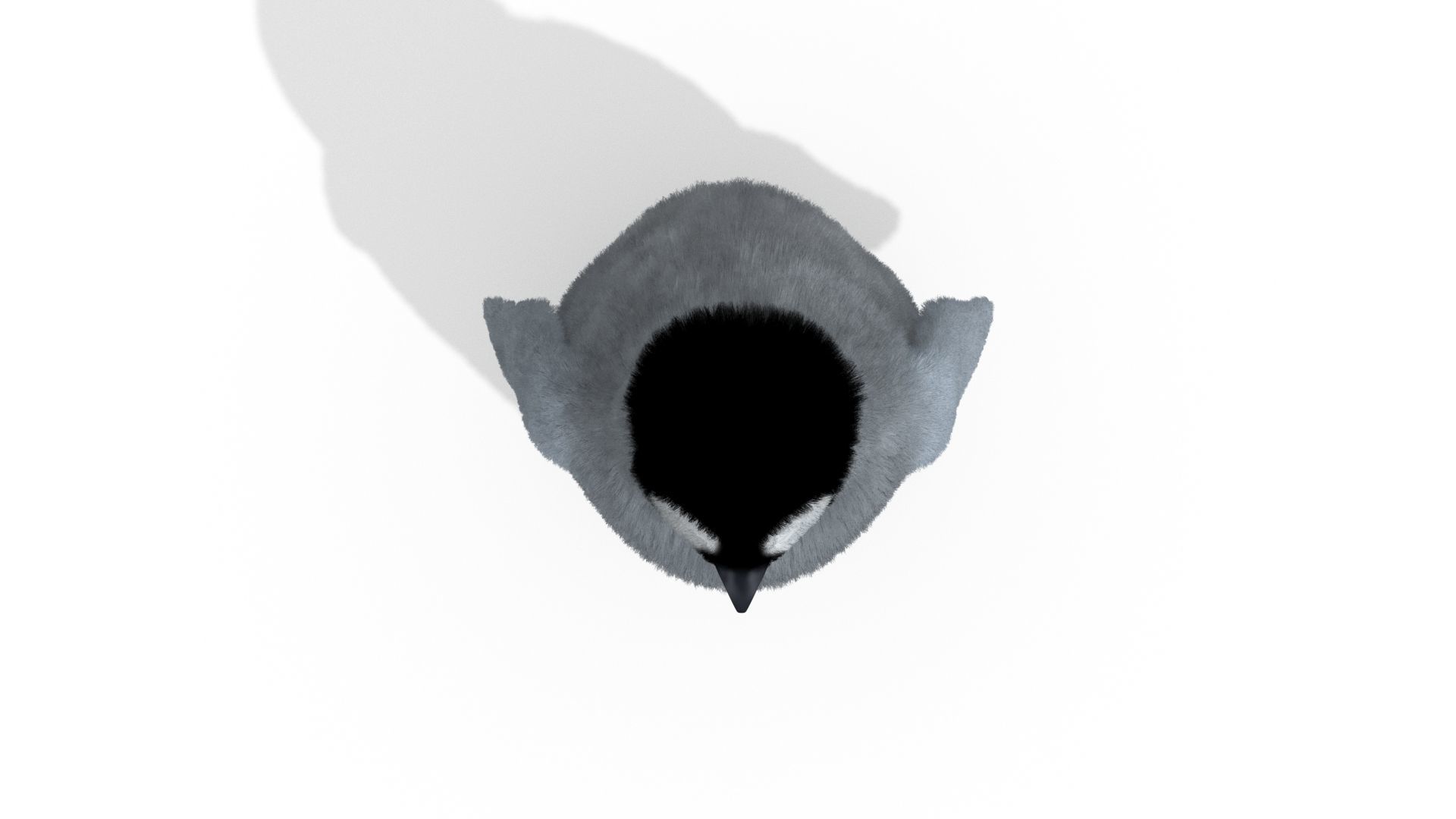 Penguin 3D model_4