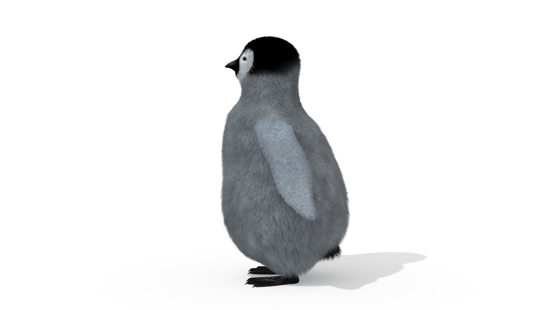 Penguin 3D model_2