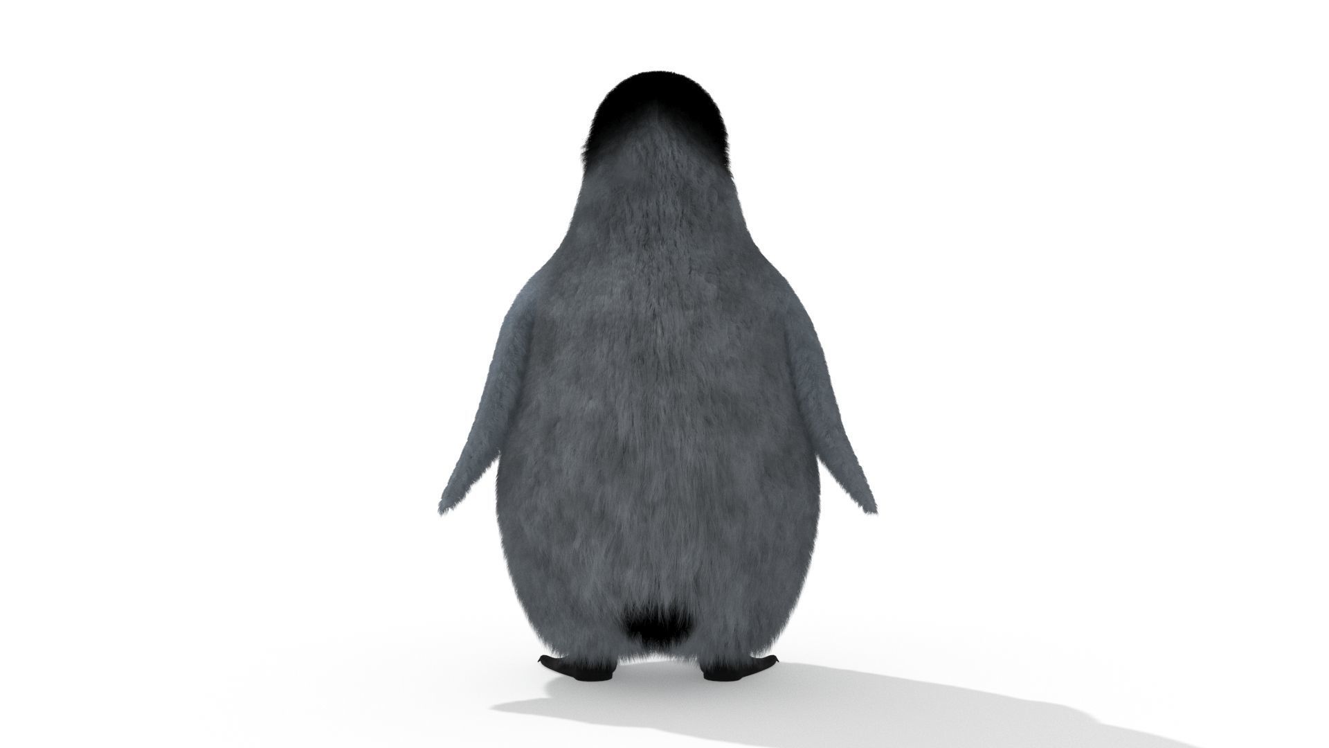 Penguin 3D model_3