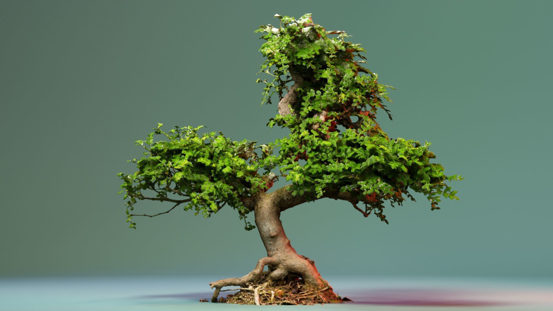 Enchanted Tree 9 3D model_4