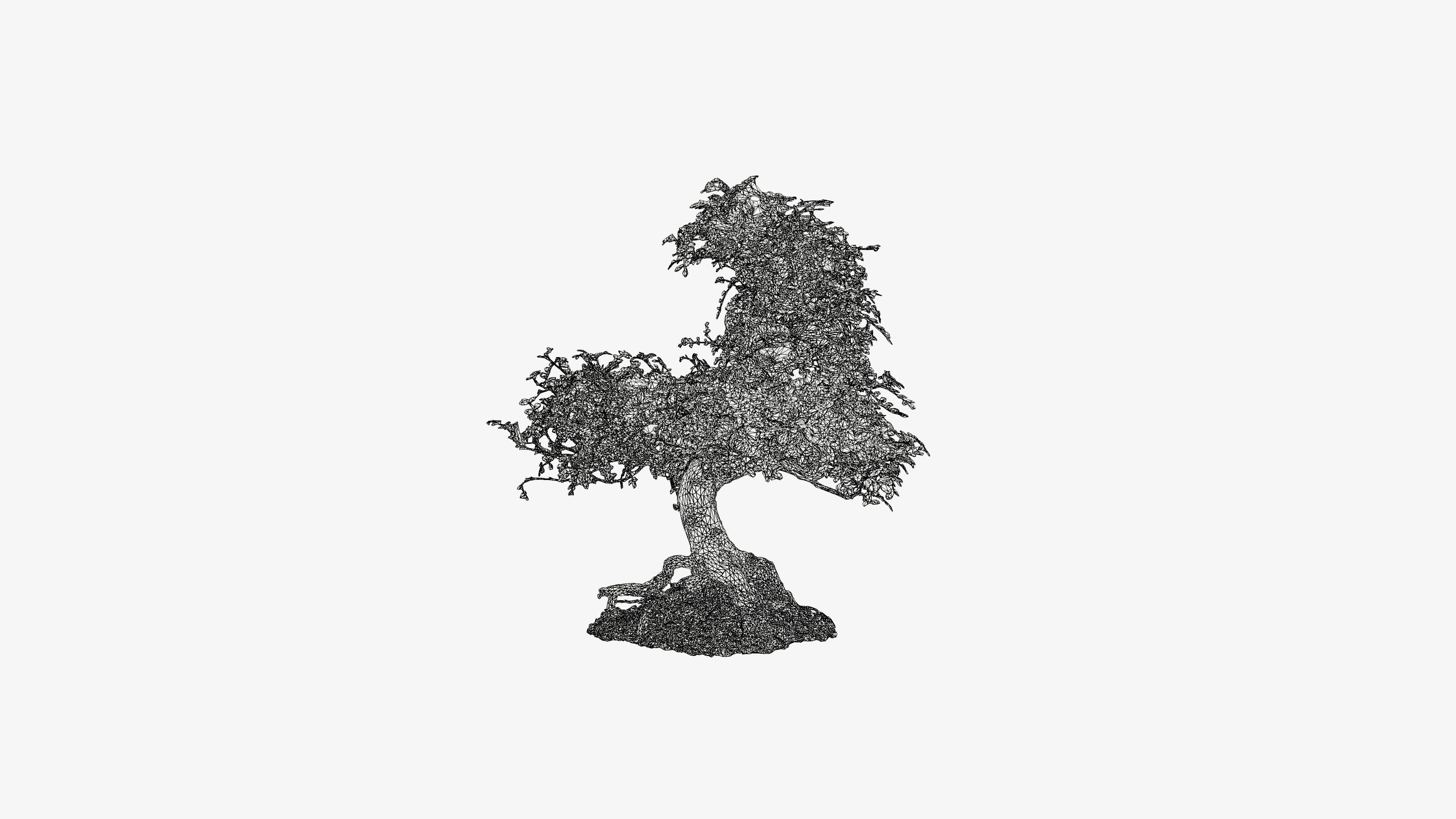 Enchanted Tree 9 3D model_18