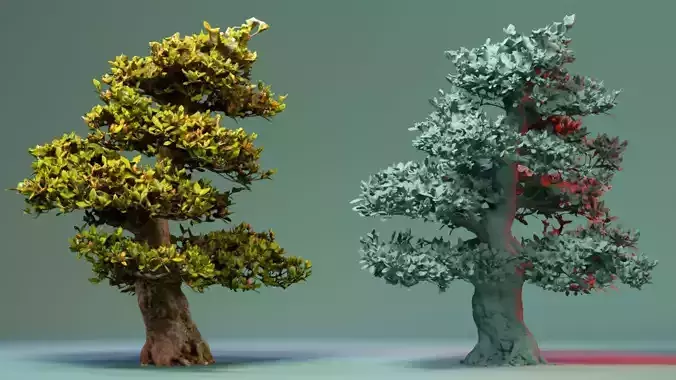Enchanted Tree 7 3D model
