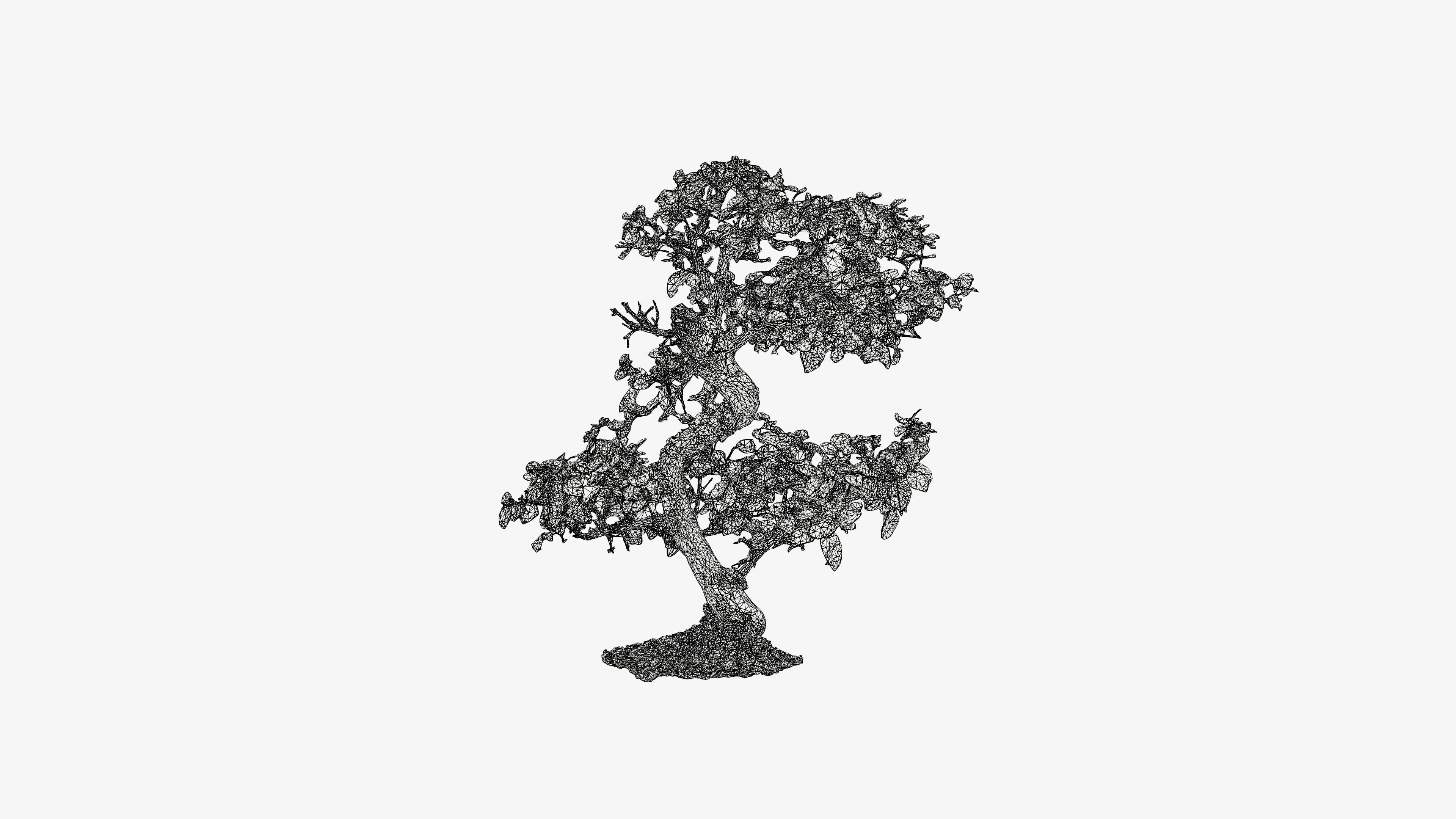 Enchanted Tree 6 3D model_18