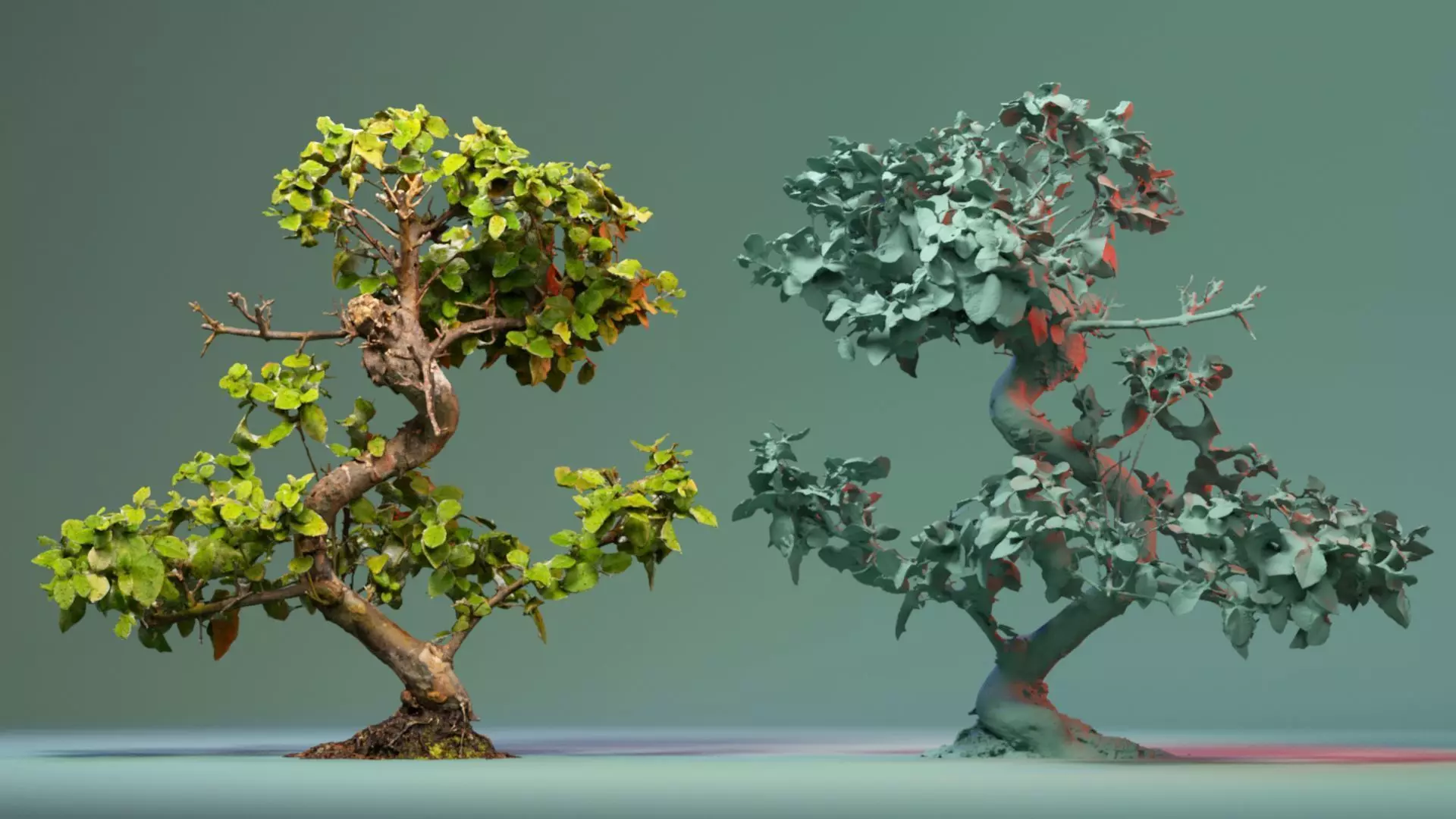 Enchanted Tree 6 3D model_0