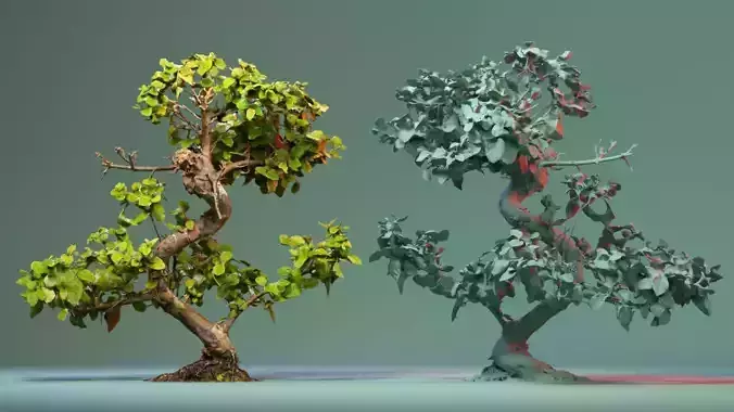 Enchanted Tree 6 3D model
