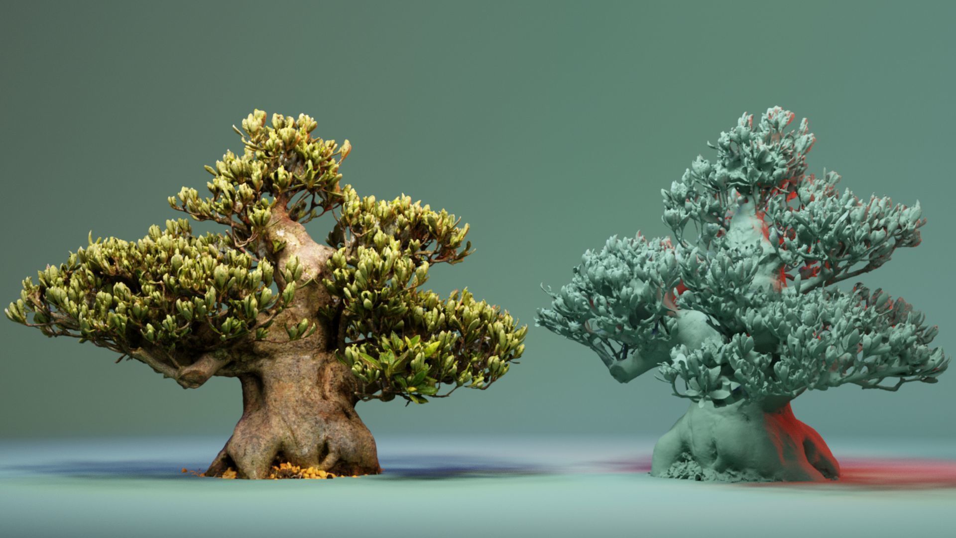 Enchanted Tree 5 3D model_5