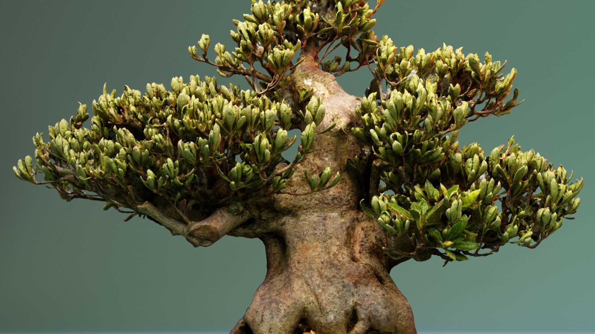 Enchanted Tree 5 3D model_2