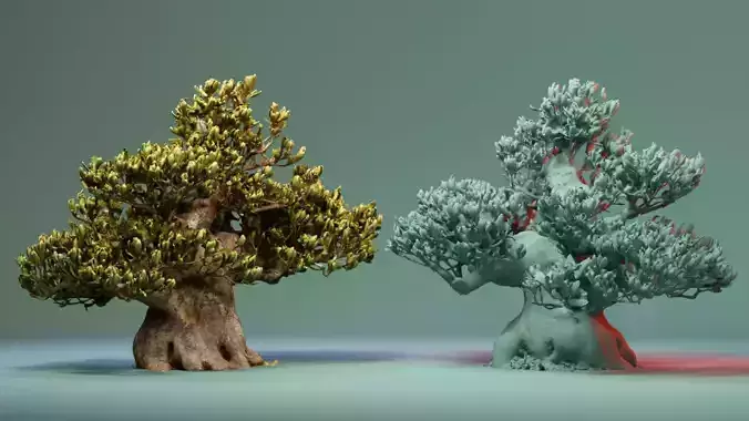 Enchanted Tree 5 3D model
