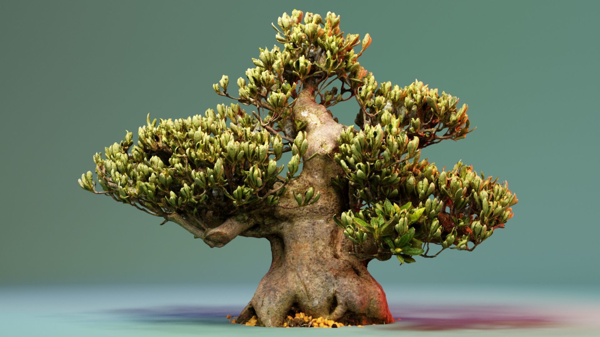 Enchanted Tree 5 3D model_4