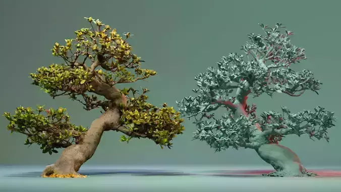 Enchanted Tree 3 3D model