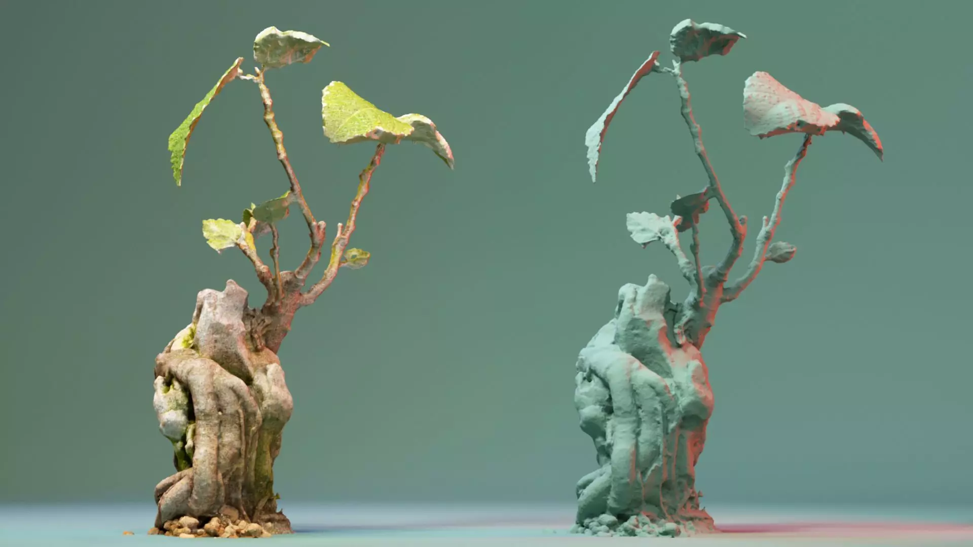 Enchanted Tree 20 3D model