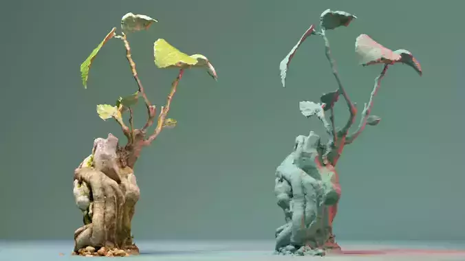 Enchanted Tree 20 3D model