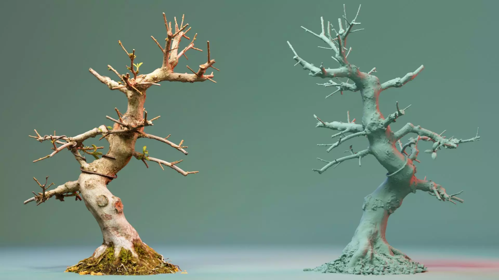 Enchanted Tree 2 3D model_0